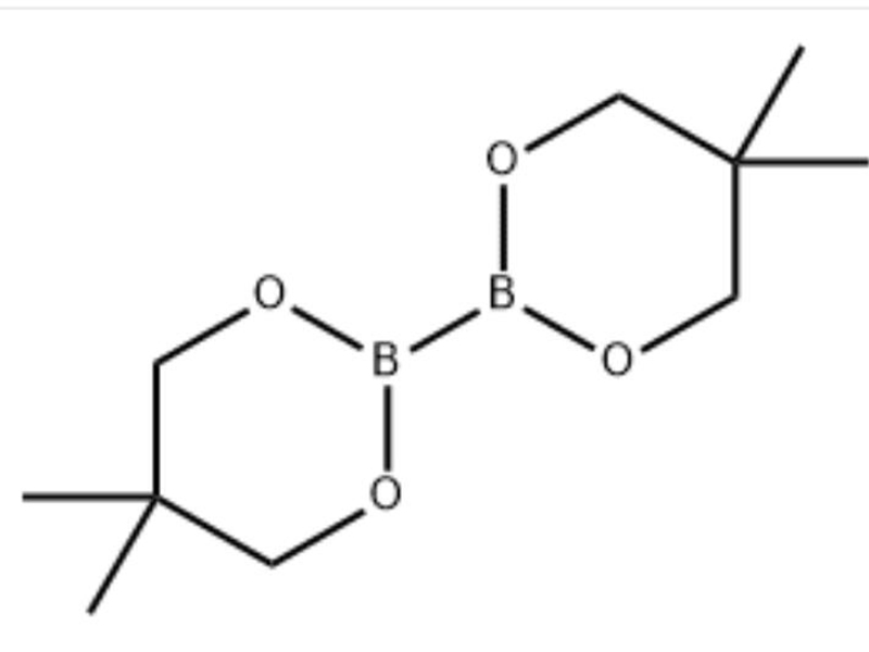 201733-56-4  联硼酸新戊二醇酯