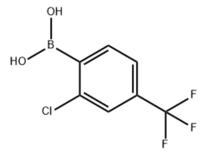 254993-59-4  2-氯-4-(三氟甲基)苯硼酸