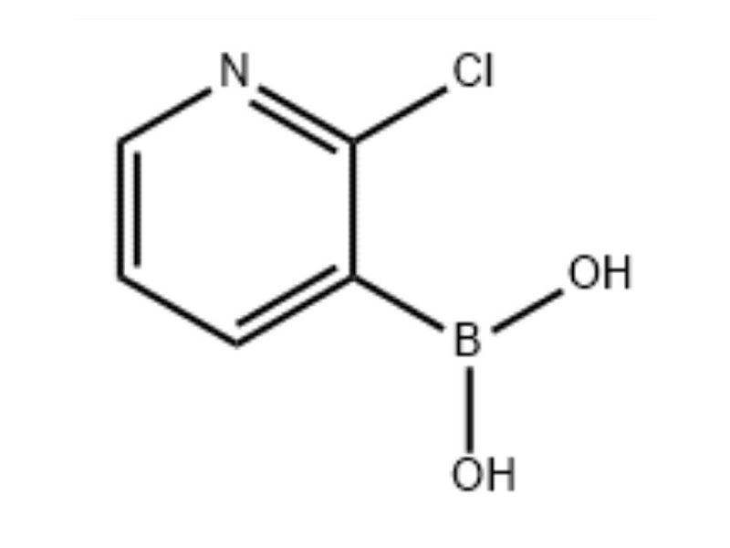 381248-04-0 2-氯吡啶-3-硼酸