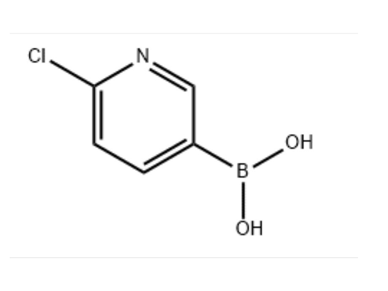 444120-91-6  6-氯吡啶-3-硼酸